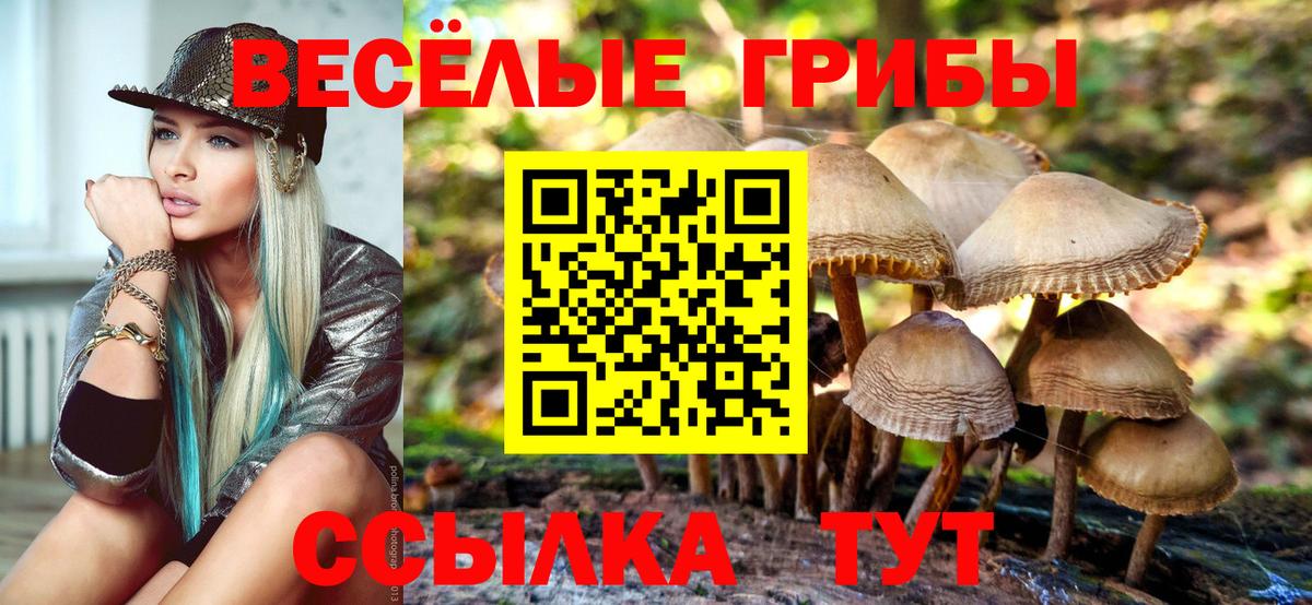 Псилоцибиновые грибы Psilocybine cubensis Ипатово