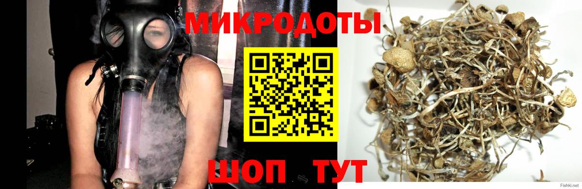Псилоцибиновые грибы мухоморы  Галлюциногенные грибы Psilocybe  Ипатово  Вход с VPN 